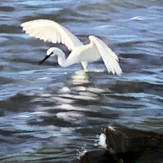 Egret Fishing - Illustrated Print by Thomas Little