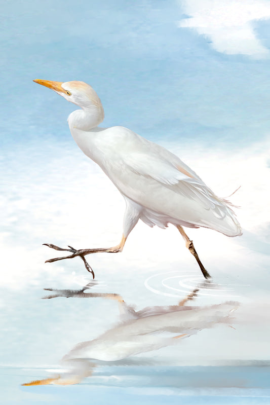 Egret Reflection - Illustrated Print by Thomas Little