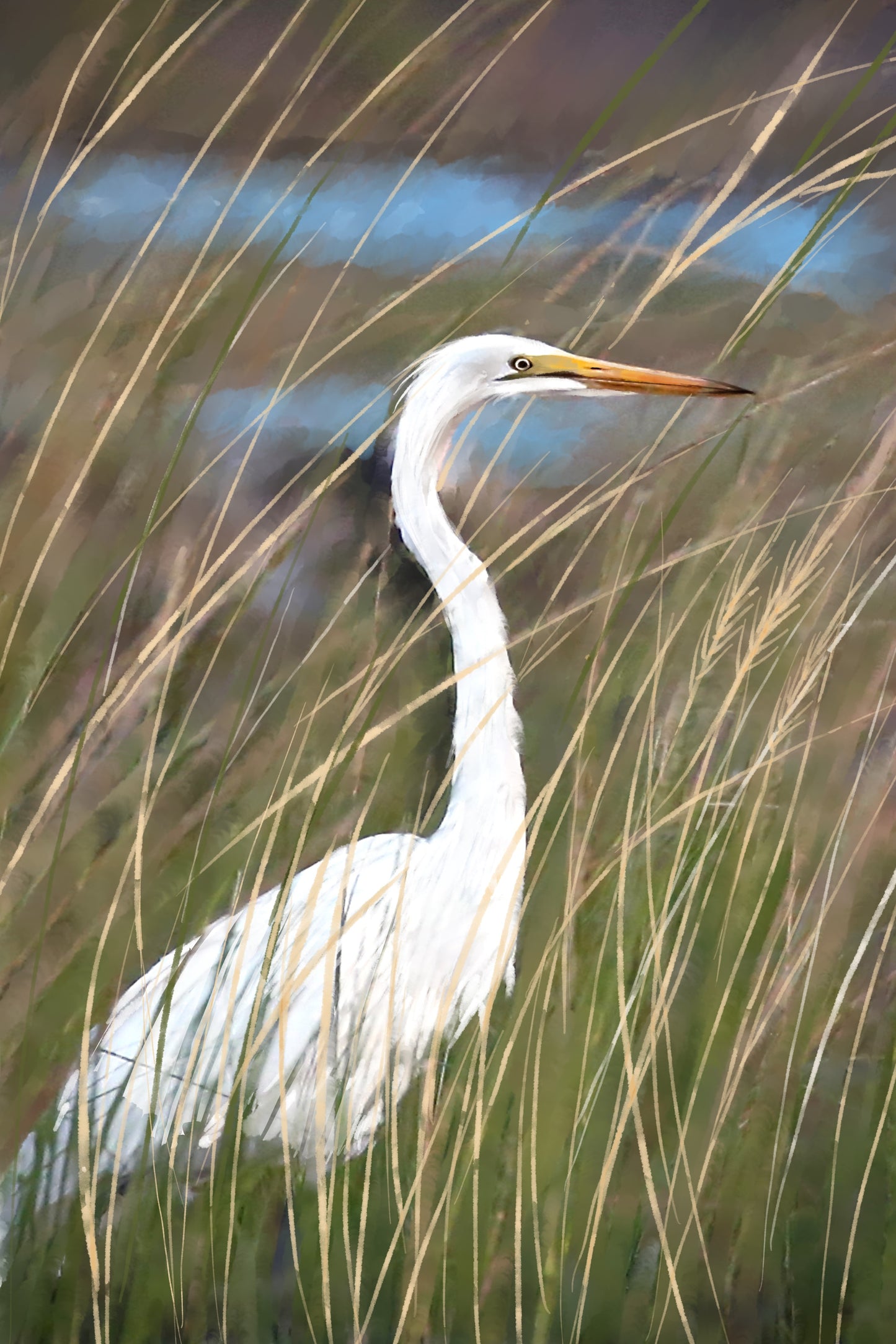 Egret in Tall Grass - Illustrated Print by Thomas Little