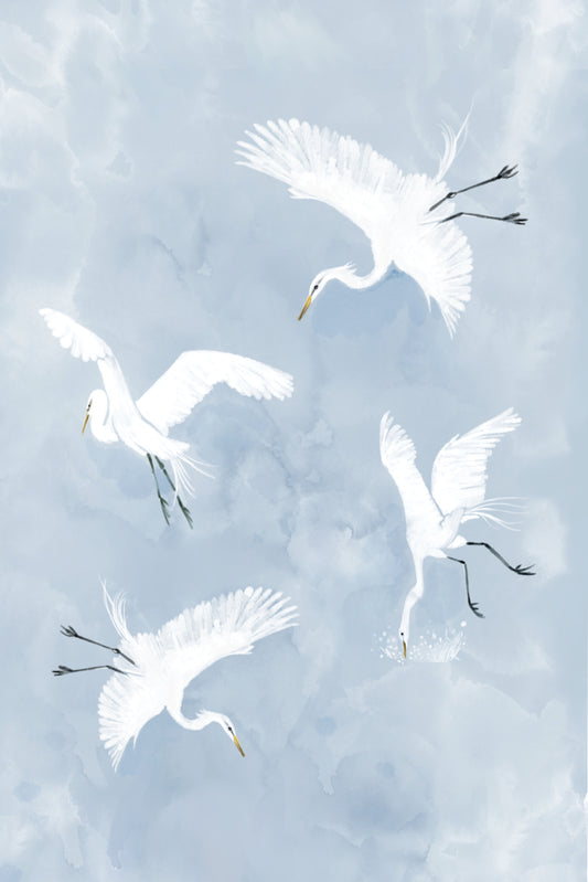 Egrets in Flight - Illustrated Print by Thomas Little