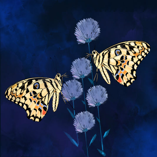 Fluff and Butterflies - Illustrated Print by Thomas Little