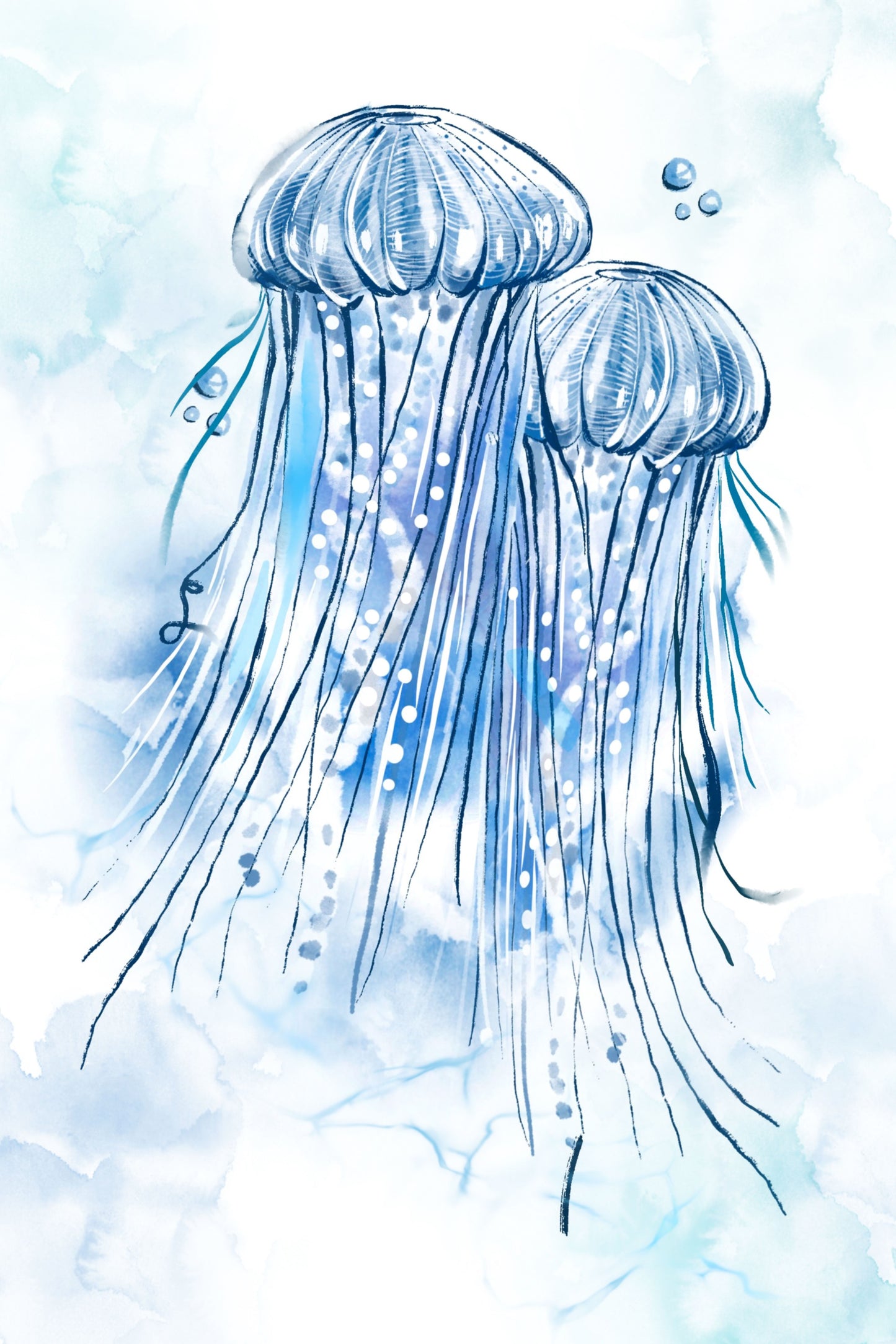 Fluid Jellies - Illustrated Print by Thomas Little