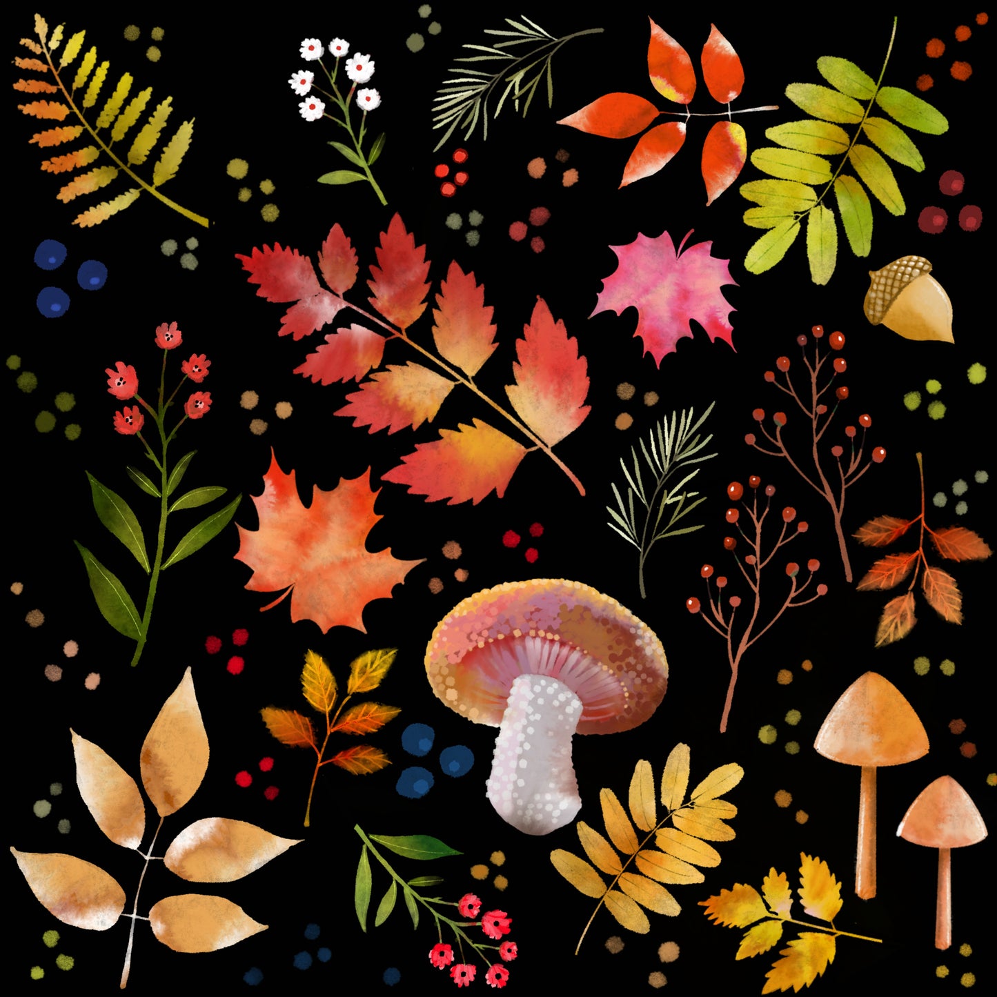 Forest Floor - Illustrated Print by Thomas Little