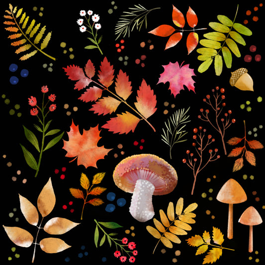 Forest Floor - Illustrated Print by Thomas Little