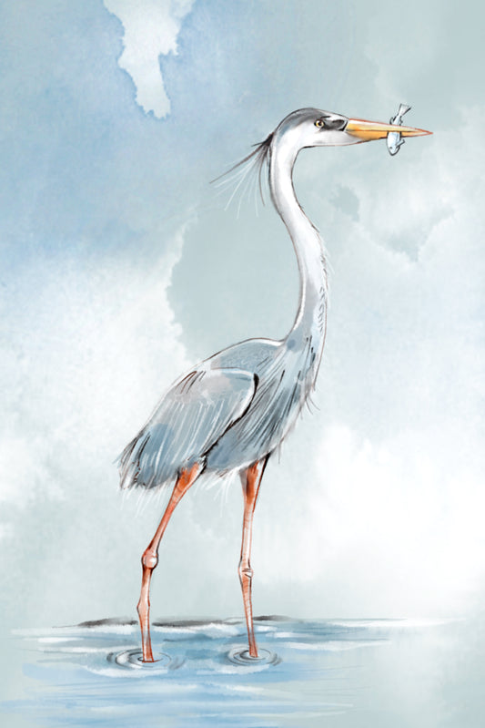 Great Blue - Illustrated Print by Thomas Little