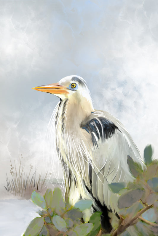 Great Blue Heron - Illustrated Print by Thomas Little