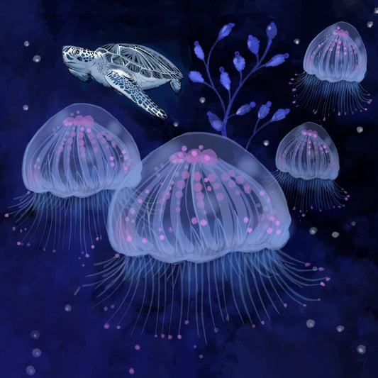 Jellies - Illustrated Print by Thomas Little