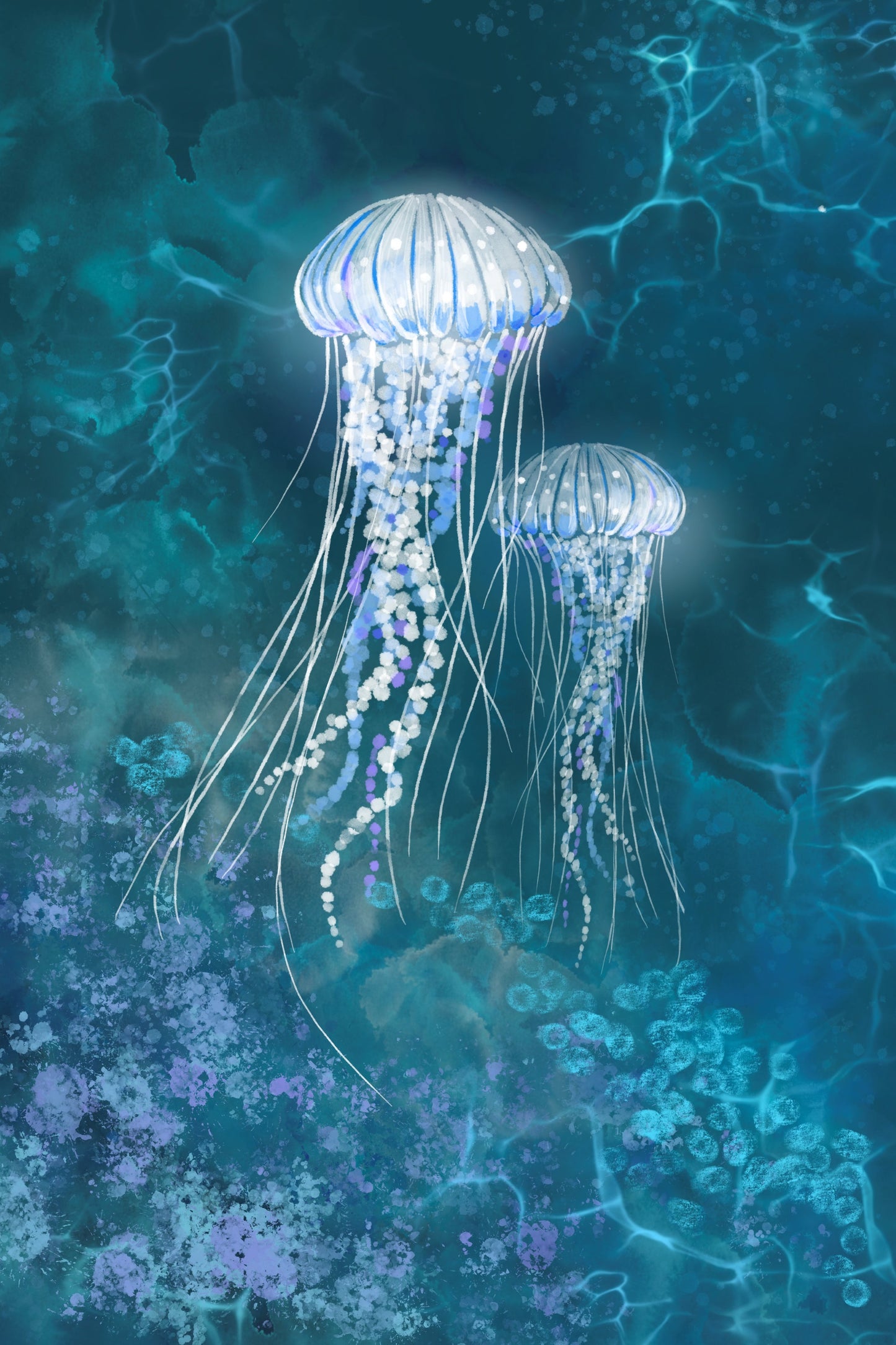 Jellies of the Sea - Illustrated Print by Thomas Little