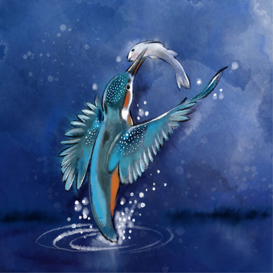 Kingfisher Rising - Illustrated Print by Thomas Little