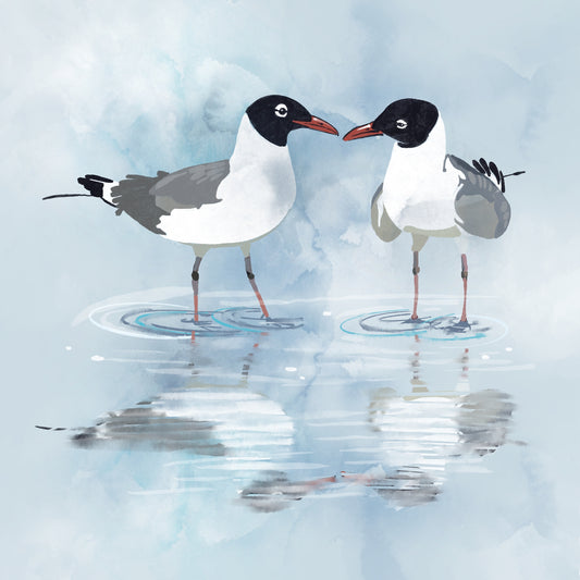 Kissing Laughing Gulls - Illustrated Print by Thomas Little