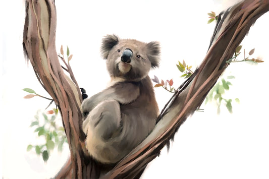 Koala Contemplating - Illustrated Print by Thomas Little