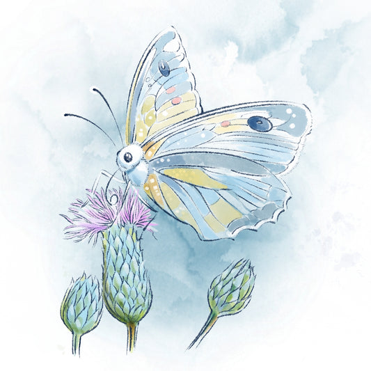 Lightly Lands the Butterfly - Illustrated Print by Thomas Little