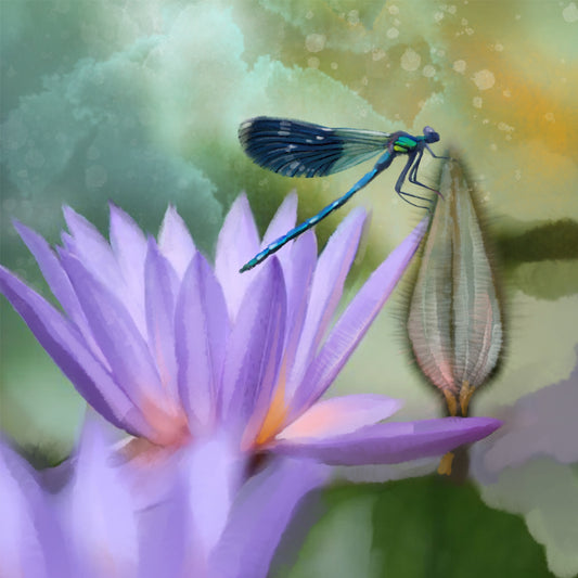 Lilly and Damselfly - Illustrated Print by Thomas Little