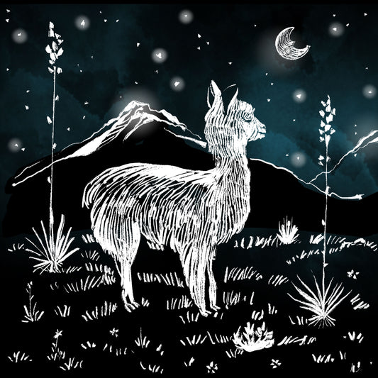 Little Llama - Illustrated Print by Thomas Little