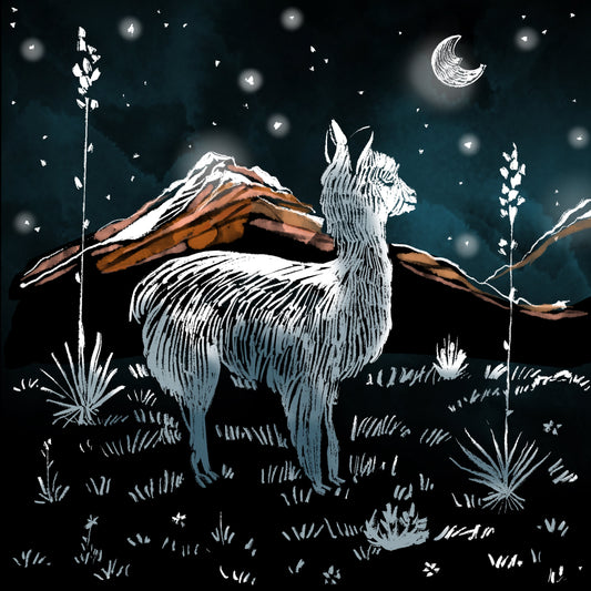 Little Llama Dreams - Illustrated Print by Thomas Little