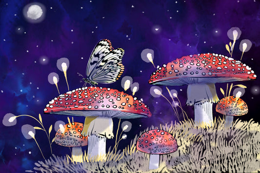 Midnight Mushrooms - Illustrated Print by Thomas Little