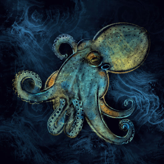 Mykonos Octopus - Illustrated Print by Thomas Little