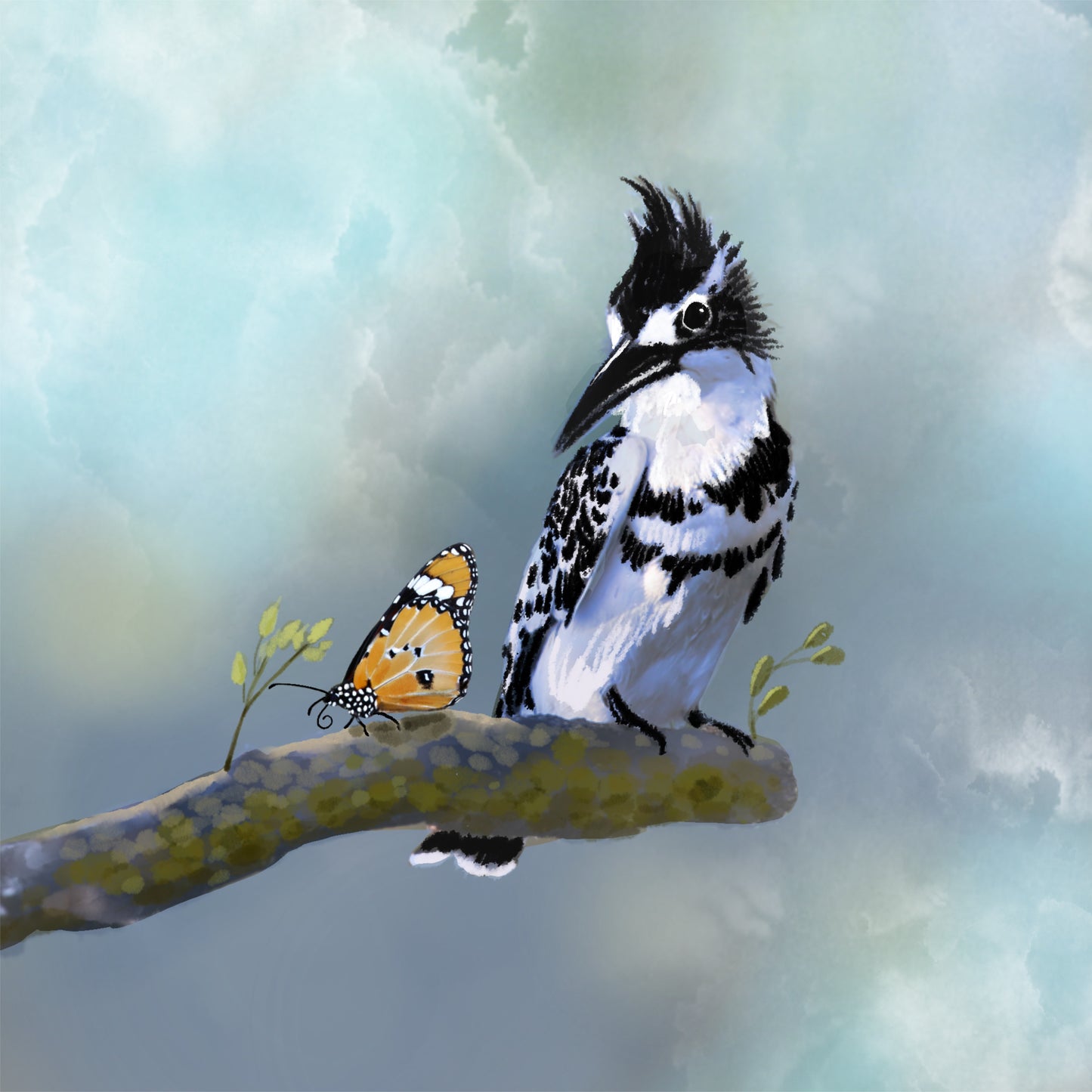 Pied Fisher and Butterfly - Illustrated Print by Thomas Little