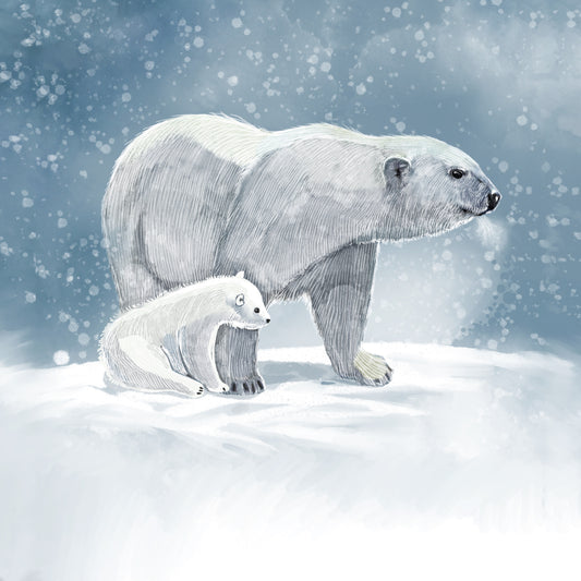 Polar Bear Study - Illustrated Print by Thomas Little