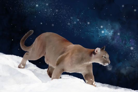 Puma and the Milk Way - Illustrated Print by Thomas Little