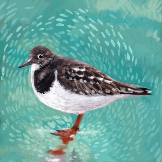 Sandpiper Dream - Illustrated Print by Thomas Little