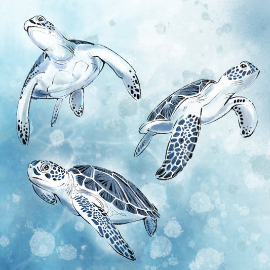 Sea Turtles in Blue - Illustrated Print by Thomas Little