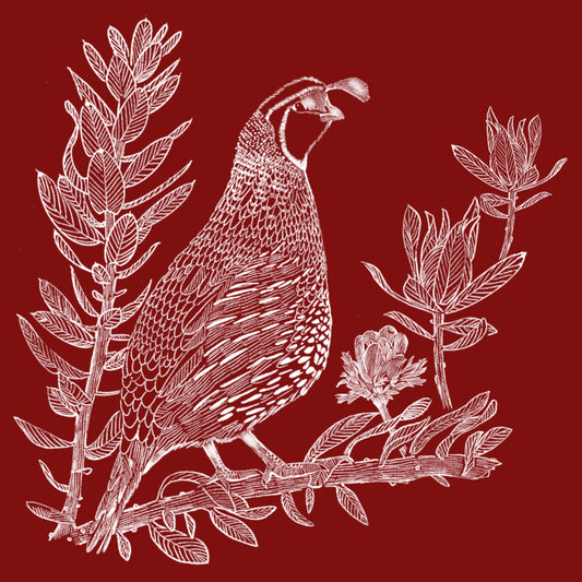 Seasonal Quail - Illustrated Print by Thomas Little