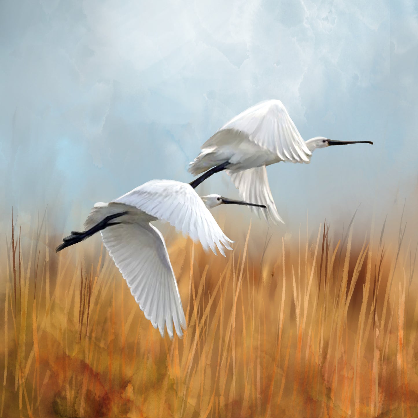 Spoonbills Ascending - Illustrated Print by Thomas Little