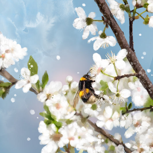 Spring Blossom Bounty - Illustrated Print by Thomas Little