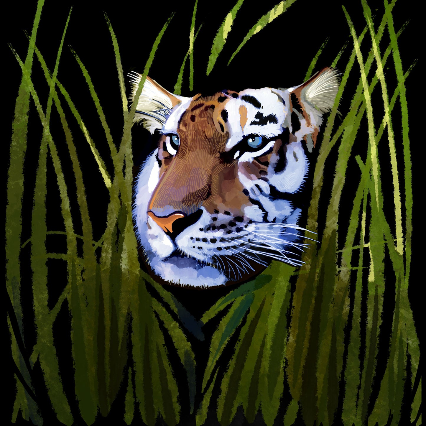 Tiger in Tall Grass - Illustrated Print by Thomas Little