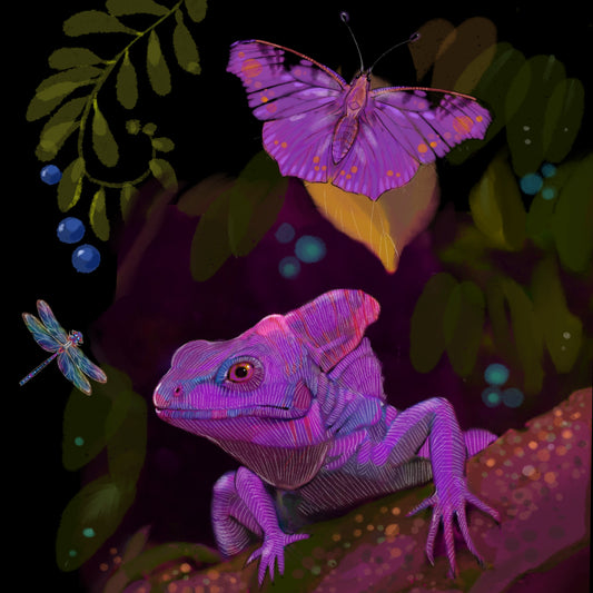 Violet Lizard - Illustrated Print by Thomas Little