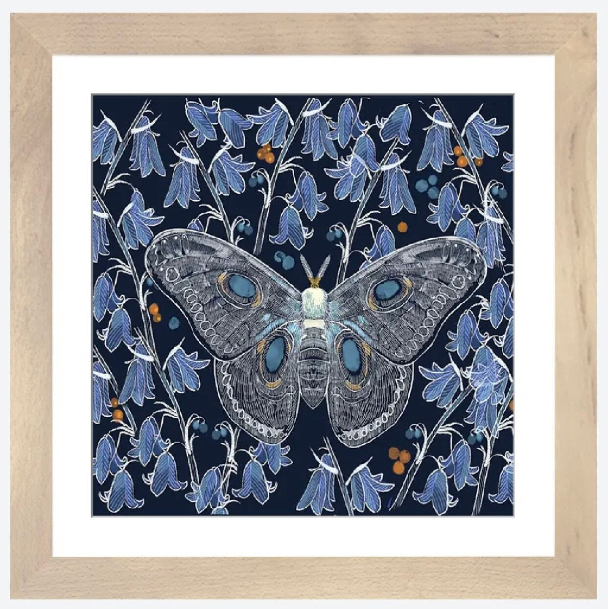 Moth Study by Thomas Little - 16 X 16 inches - Framed Art Print