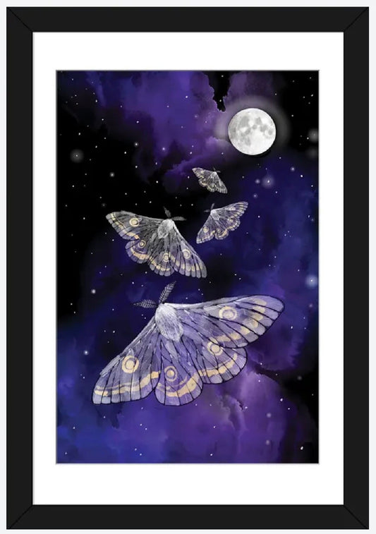 Moon Moths by Thomas Little - 24 X 16 inches - framed art print