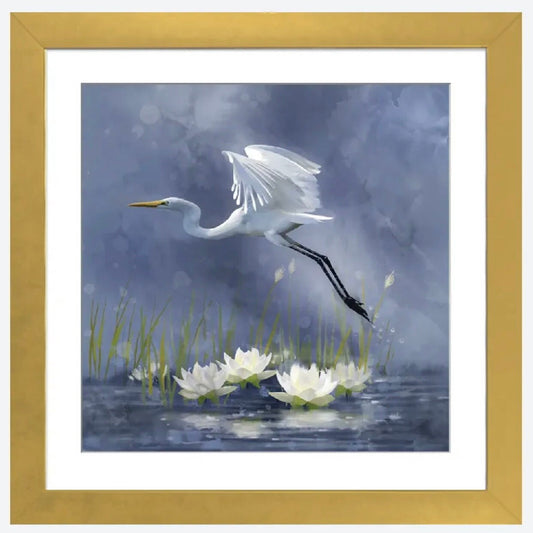 Egret Dawn Flight by Thomas Little - 16 x 16 inches - Framed Art Print