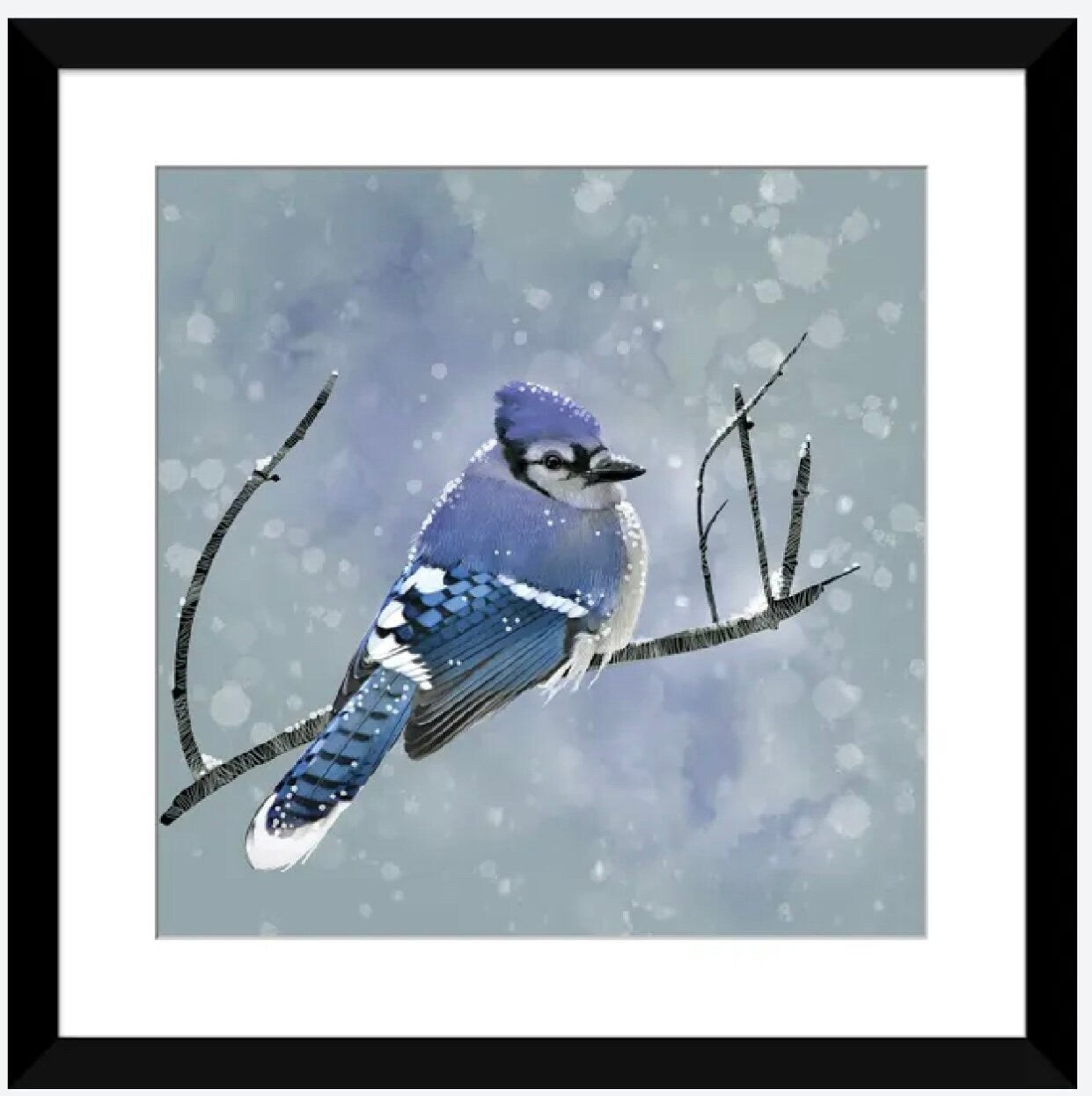 Blue Winter Morning by Thomas Little - 16 X 16 inches - Framed Art Print