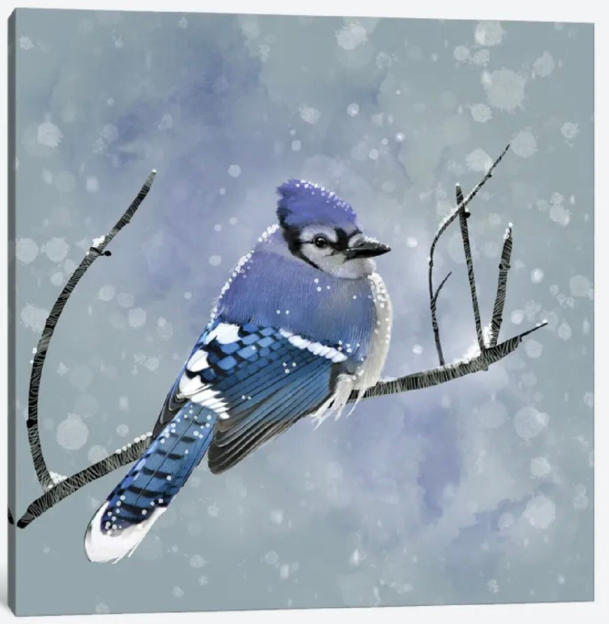 Blue Winter Morning by Thomas Little - 16 X 16 inches - Framed Art Print