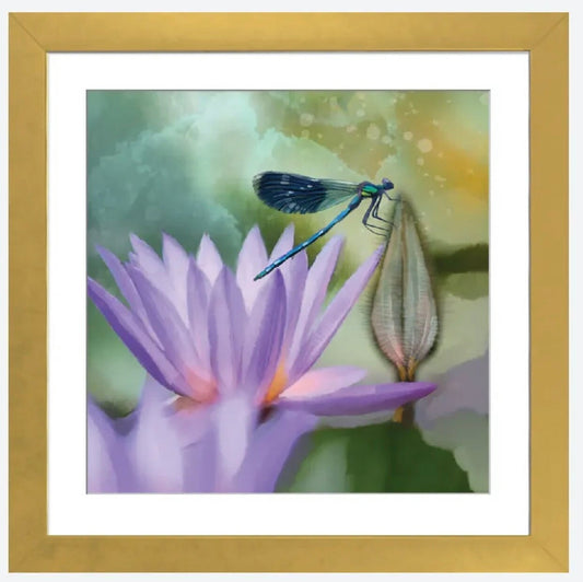 Lilly And Damselfly by Thomas Little - 16 X 16 inches - framed art print