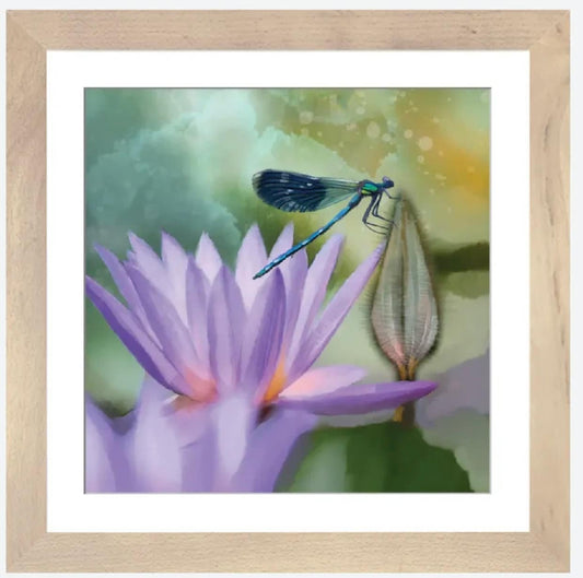Lilly And Damselfly by Thomas Little - 16 X 16 inches - framed art print