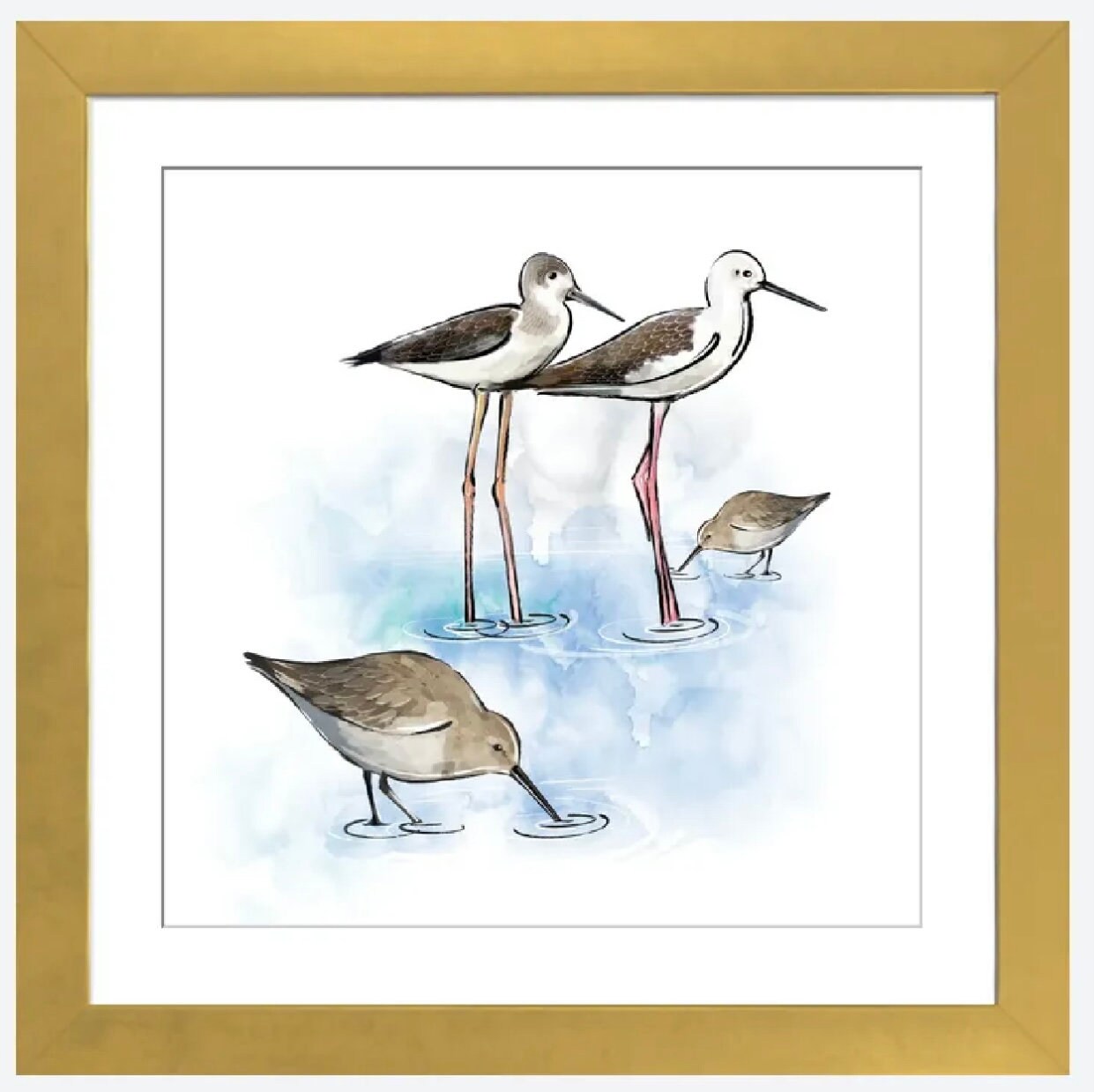 Shorebirds by Thomas Little - 16 X 16 inches - Framed Art Print