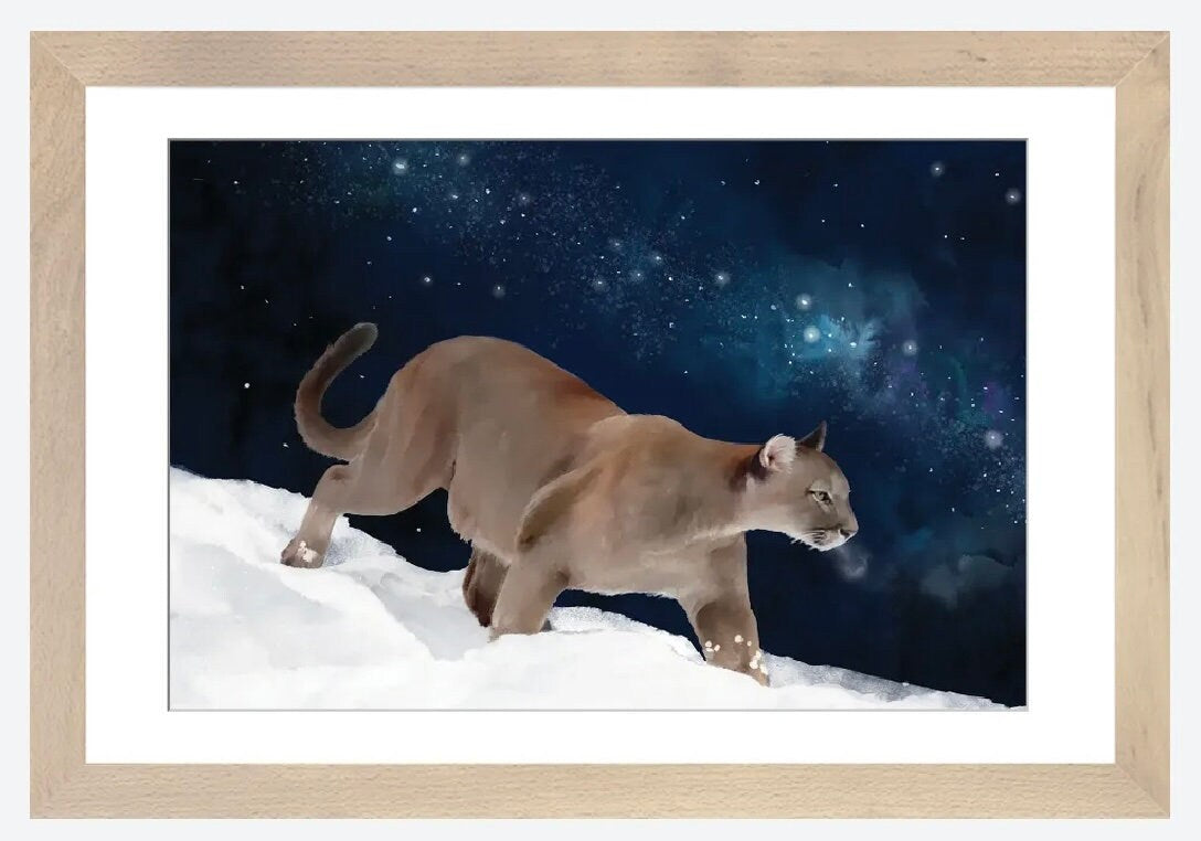 Puma and the Milky Way by Thomas Little - 24 X 16 inches - Framed Art Print