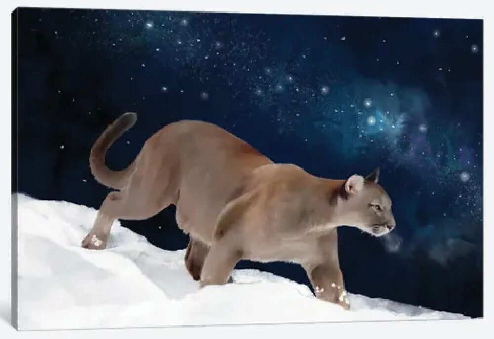 Puma and the Milky Way by Thomas Little - 24 X 16 inches - Framed Art Print