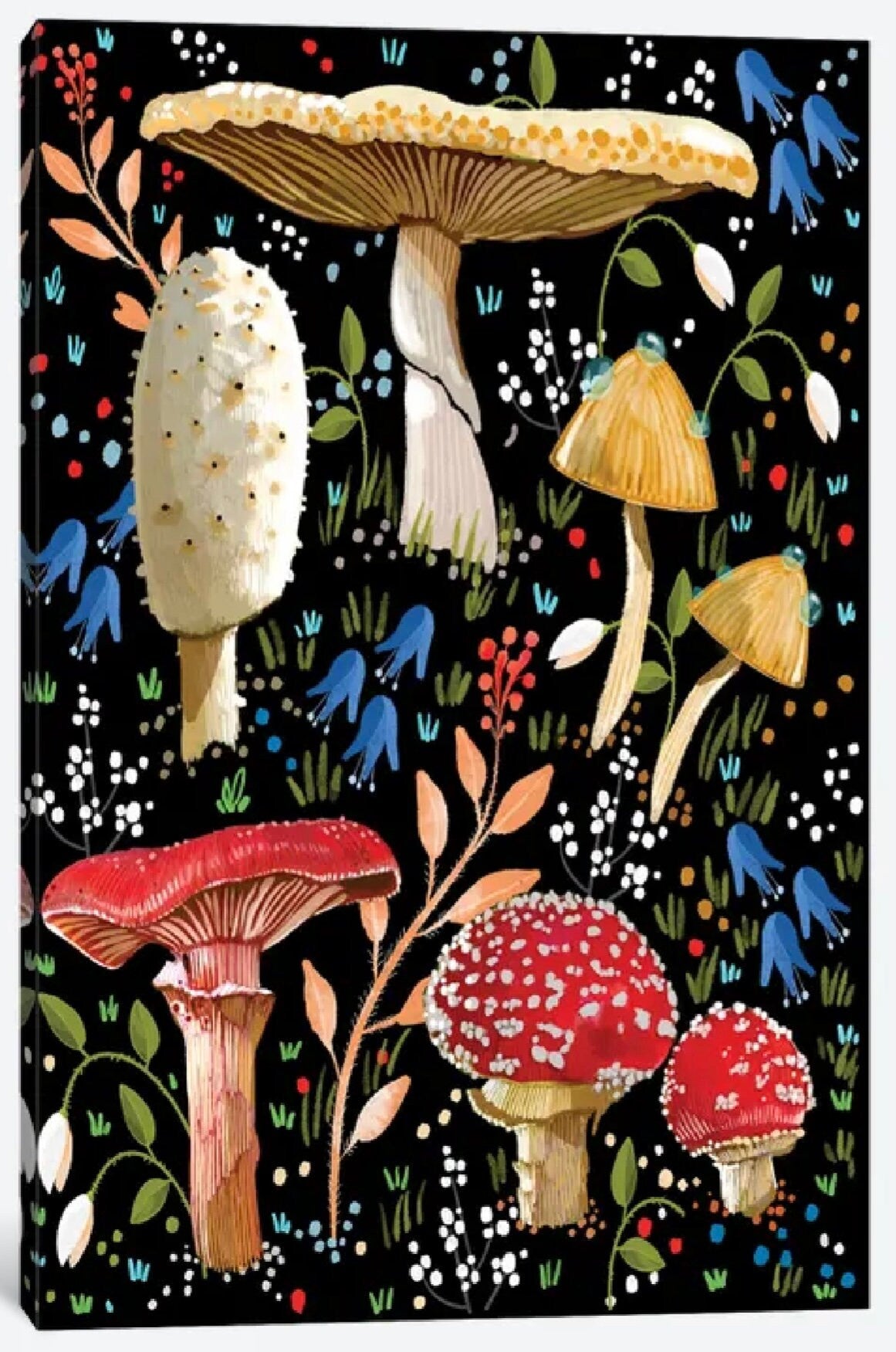 Mushroom Love by Thomas Little - 24 X 16 inches - Framed Art Print